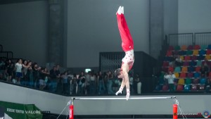 final8 serie a sfe05286 copia simone ferraro ph